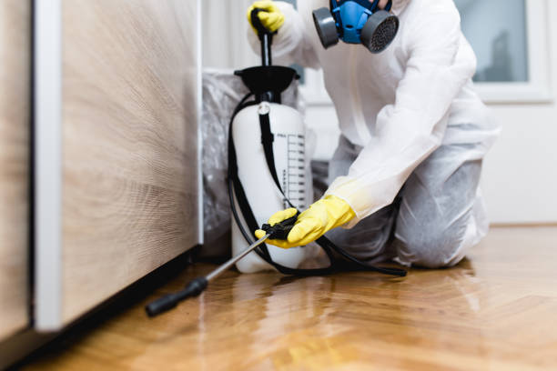 Best Affordable Pest Control Services  in Winter Haven, FL