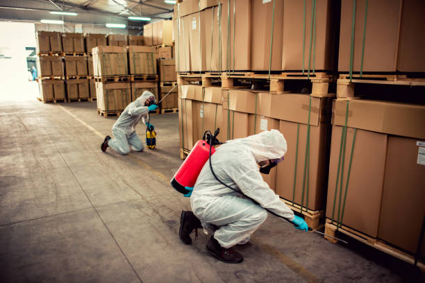 Best Exterminator Services  in Winter Haven, FL