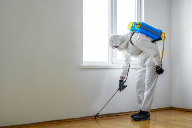 Pest Control for Restaurants in Winter Haven, FL