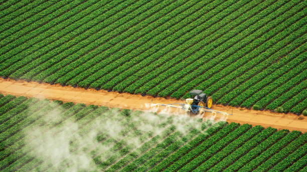 Professional Pest Control in Winter Haven, FL