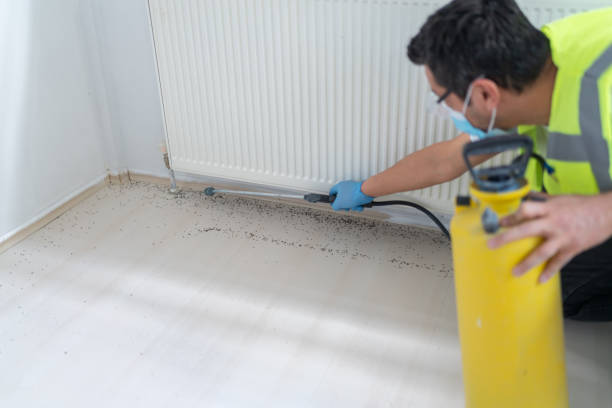 Flea Control Services in Winter Haven, FL