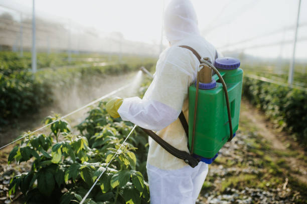 Best Pest Prevention Services  in Winter Haven, FL